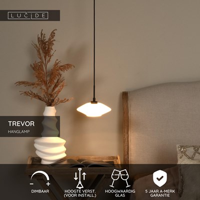 Lucide TREVOR - Hanglamp - Ø 20 cm - 1xG9 - Opaal
